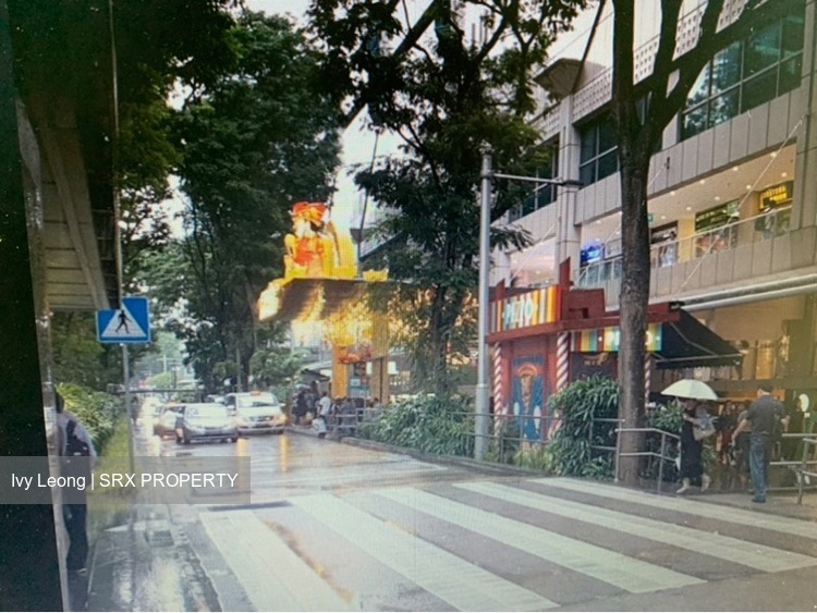 Lucky Plaza (D9), Retail #533583811